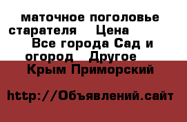 маточное поголовье старателя  › Цена ­ 3 700 - Все города Сад и огород » Другое   . Крым,Приморский